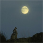 WolF-SaGe